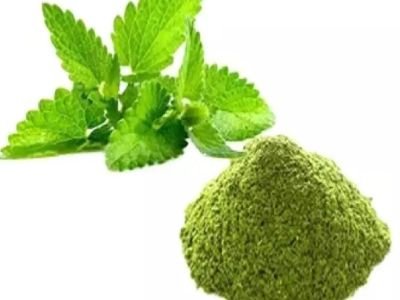 Dry Mint Powder