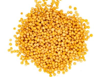 Yellow Mustard Seeds