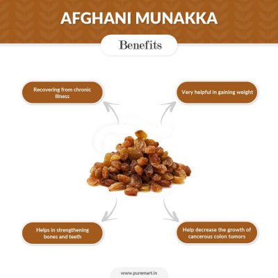 Munakka